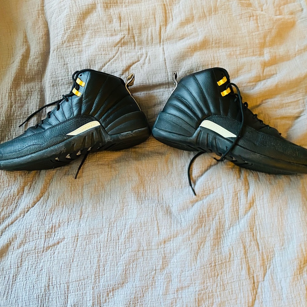 Air Jordan 12 (The Master)